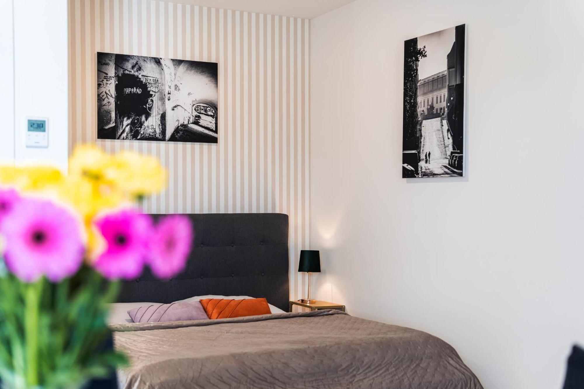 Silvie Apartments - Wolkerova 奥洛穆茨 外观 照片
